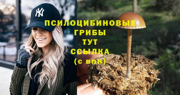 МДПВ Покачи